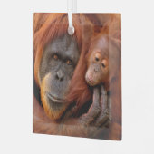 Niedliche Kleintiere | Orangutan Mama & Baby Ornament Aus Glas (Vorderseite links)
