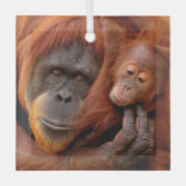 Niedliche Kleintiere | Orangutan Mama & Baby Ornament Aus Glas (Vorderseite)