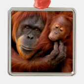 Niedliche Kleintiere | Orangutan Mama & Baby Ornament Aus Metall (Vorne)
