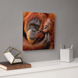 Niedliche Kleintiere Orangutan Mama & Baby Quadratische Wanduhr