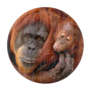 Niedliche Kleintiere   Orangutan Mama & Baby Schneidebrett