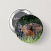 Niedliche Kleintiere | Paar von Red Fox Kit Geschw Button (Vorne & Hinten)