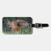 Niedliche Kleintiere | Paar von Red Fox Kit Geschw Gepäckanhänger (Vorderseite horizontal)