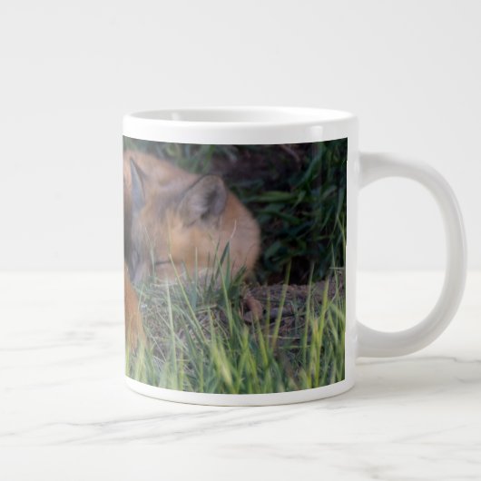 Niedliche Kleintiere | Paar von Red Fox Kit Geschw Jumbo-Tasse (Rechts)