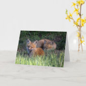 Niedliche Kleintiere | Paar von Red Fox Kit Geschw Karte (Gelbe Blume)