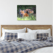 Niedliche Kleintiere | Paar von Red Fox Kit Geschw Leinwanddruck (Insitu (Schlafzimmer))