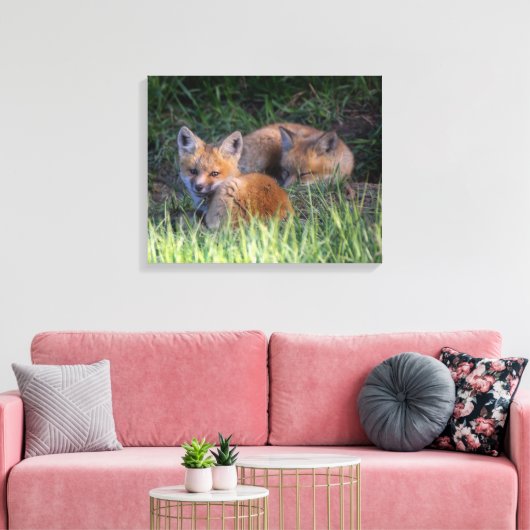 Niedliche Kleintiere | Paar von Red Fox Kit Geschw Leinwanddruck (Insitu (Wohnzimmer))