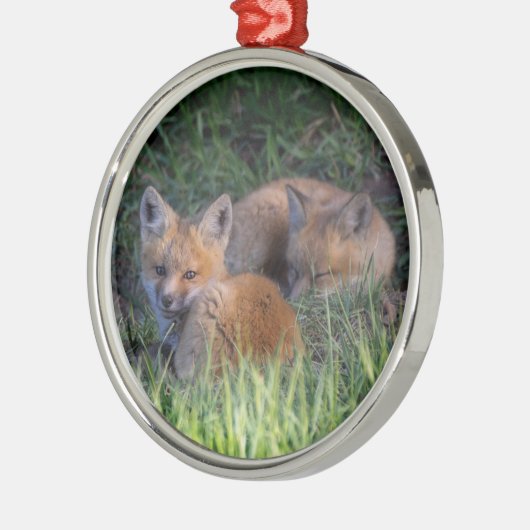 Niedliche Kleintiere | Paar von Red Fox Kit Geschw Ornament Aus Metall (Links)