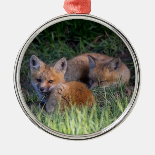 Niedliche Kleintiere | Paar von Red Fox Kit Geschw Ornament Aus Metall (Vorne)