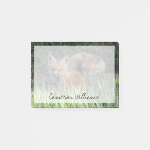 Niedliche Kleintiere Paar von Red Fox Kit Geschw Post-it Klebezettel