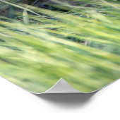 Niedliche Kleintiere | Paar von Red Fox Kit Geschw Poster (Ecke)