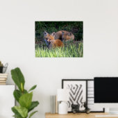 Niedliche Kleintiere | Paar von Red Fox Kit Geschw Poster (Heimbüro)