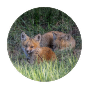 Niedliche Kleintiere Paar von Red Fox Kit Geschw Schneidebrett
