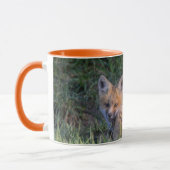 Niedliche Kleintiere | Paar von Red Fox Kit Geschw Tasse (Links)