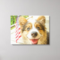 Niedliche Kleintiere | Patriotic Corgi Puppy