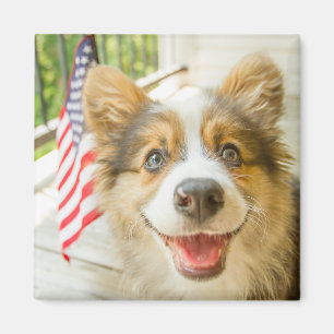 Niedliche Kleintiere   Patriotic Corgi Puppy Magnet