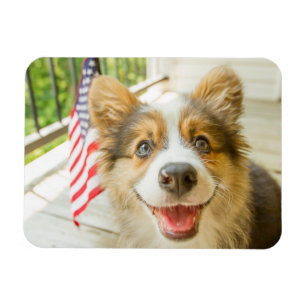 Niedliche Kleintiere Patriotic Corgi Puppy Magnet