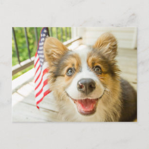 Niedliche Kleintiere   Patriotic Corgi Puppy Postkarte