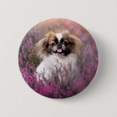 Niedliche Kleintiere | Pekingese Puppy Button (Vorderseite)