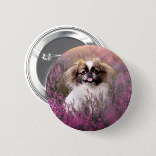 Niedliche Kleintiere | Pekingese Puppy Button (Vorne & Hinten)