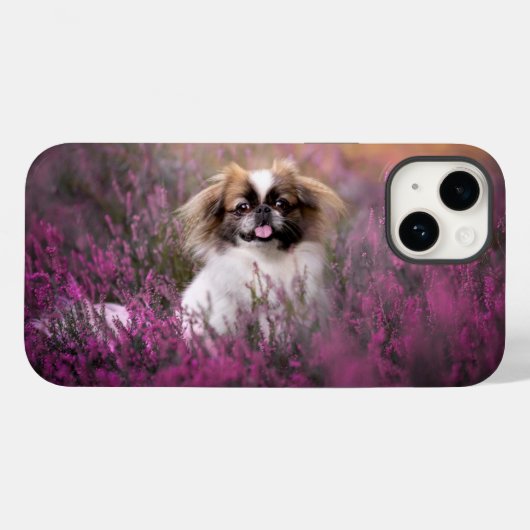 Niedliche Kleintiere | Pekingese Puppy Case-Mate iPhone Hülle (Rückseite (Horizontal))