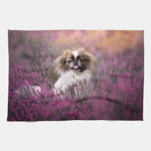 Niedliche Kleintiere Pekingese Puppy Geschirrtuch