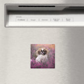 Niedliche Kleintiere | Pekingese Puppy Magnet (In Situ (Geschirrspüler))