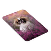 Niedliche Kleintiere | Pekingese Puppy Magnet (Rechte Seite)