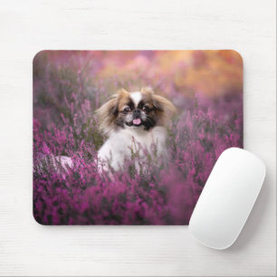 Niedliche Kleintiere   Pekingese Puppy Mousepad