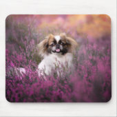 Niedliche Kleintiere | Pekingese Puppy Mousepad (Vorne)