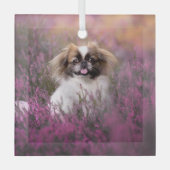 Niedliche Kleintiere | Pekingese Puppy Ornament Aus Glas (Vorderseite)