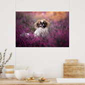 Niedliche Kleintiere | Pekingese Puppy Poster (Küche)