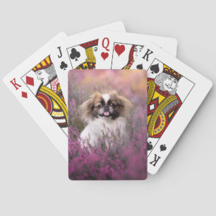 Niedliche Kleintiere Pekingese Puppy Spielkarten