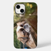 Niedliche Kleintiere | Pekingese Welpe im Auto Case-Mate iPhone Hülle (Rückseite)