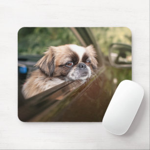 Niedliche Kleintiere Pekingese Welpe im Auto Mousepad