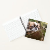 Niedliche Kleintiere | Pekingese Welpe im Auto Notizblock (Innenseite)