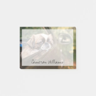 Niedliche Kleintiere Pekingese Welpe im Auto Post-it Klebezettel