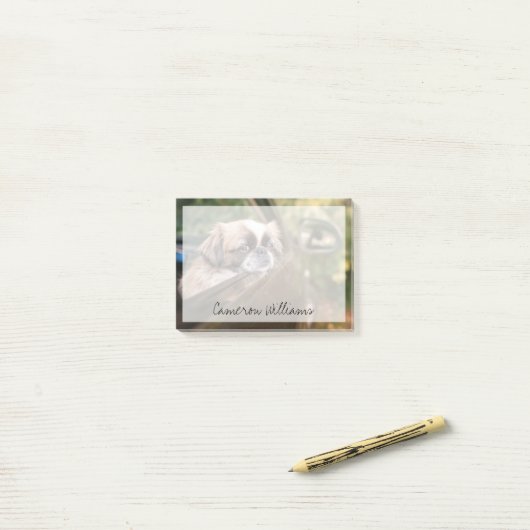 Niedliche Kleintiere | Pekingese Welpe im Auto Post-it Klebezettel (Auf Schreibtisch)