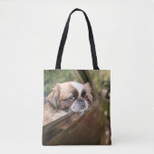 Niedliche Kleintiere | Pekingese Welpe im Auto Tasche (Vorderseite)