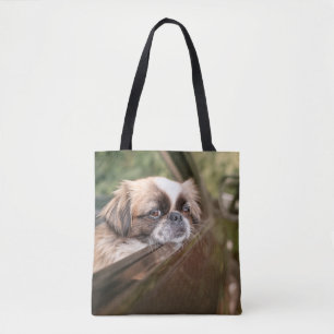 Niedliche Kleintiere   Pekingese Welpe im Auto Tasche