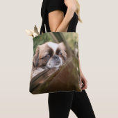 Niedliche Kleintiere | Pekingese Welpe im Auto Tasche (Von Nahem)