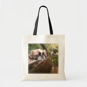 Niedliche Kleintiere Pekingese Welpe im Auto Tragetasche