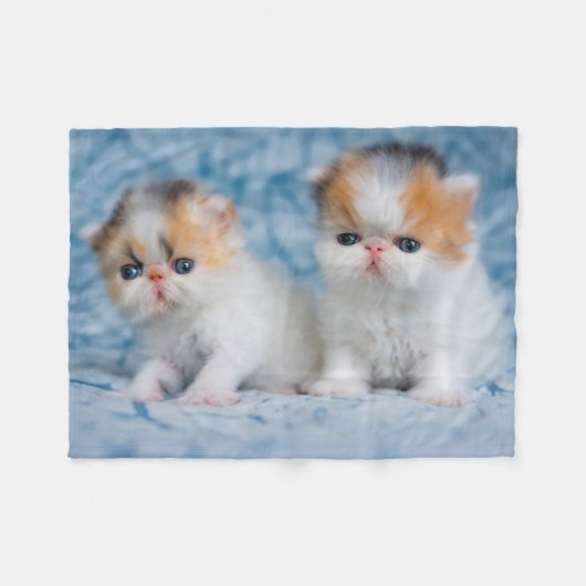 Niedliche Kleintiere | Persian Calico Kitten Fleecedecke (Vorderseite (Horizontal))