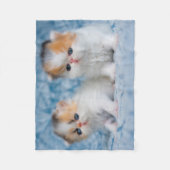 Niedliche Kleintiere | Persian Calico Kitten Fleecedecke (Vorderseite)