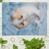 Niedliche Kleintiere | Persian Calico Kitten Geschirrtuch (Gefaltet)