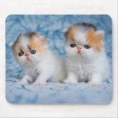 Niedliche Kleintiere | Persian Calico Kitten Mousepad (Vorne)