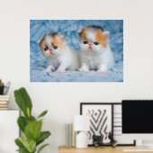 Niedliche Kleintiere | Persian Calico Kitten Poster (Heimbüro)