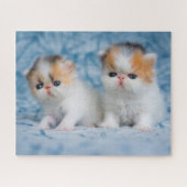 Niedliche Kleintiere | Persian Calico Kitten Puzzle (Horizontal)