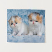 Niedliche Kleintiere | Persian Calico Kitten Wandteppich (Vorderseite (Horizontal))