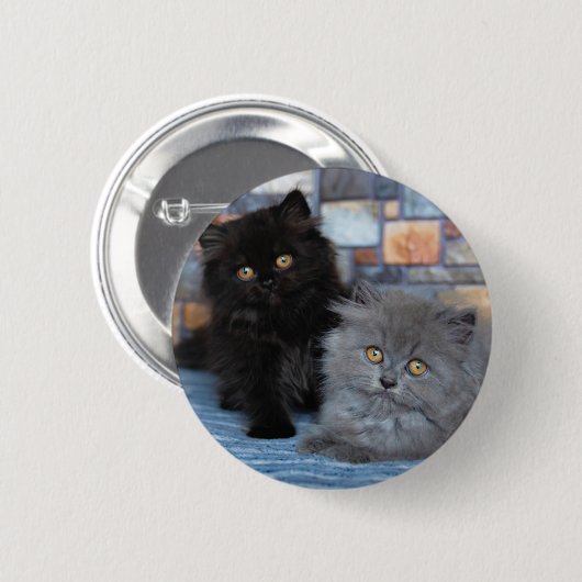 Niedliche Kleintiere | Persische Kätzchen auf der  Button (Vorne & Hinten)